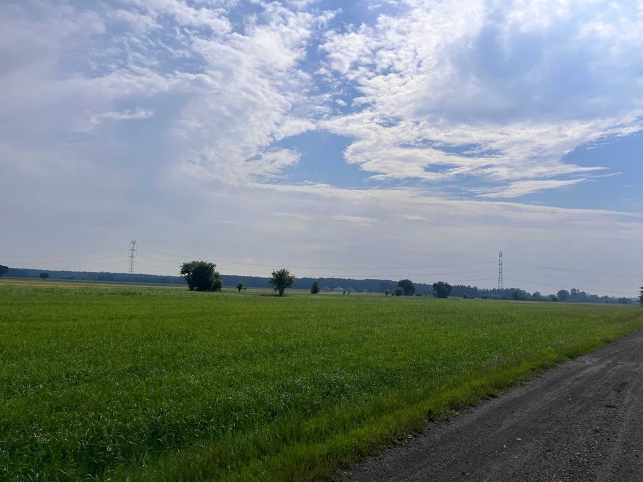 Działka budowlana Borowa, ul. Polna. Zdjęcie 4