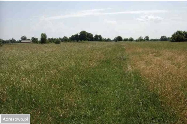Działka budowlana Wola Krakowiańska. Zdjęcie 1