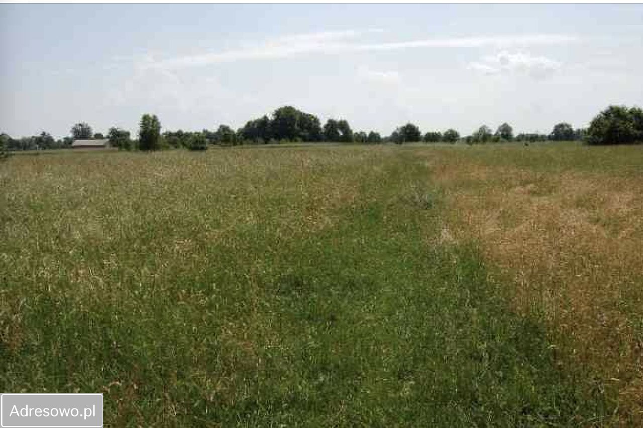 Działka budowlana Wola Krakowiańska