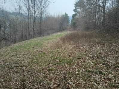 Działka rekreacyjna Bysina. Zdjęcie 1