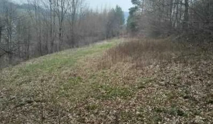 Działka rekreacyjna Bysina