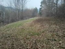 Działka rekreacyjna Bysina