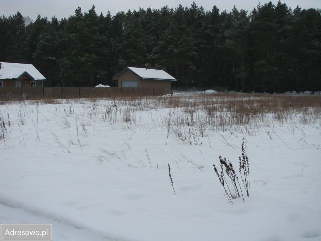 Działka budowlana Chrzczanka Włościańska, ul. Leśna. Zdjęcie 1