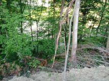 Działka inwestycyjna Myczków. Zdjęcie 1