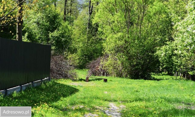 Działka budowlana Budy Zosine, al. Brzóz. Zdjęcie 1