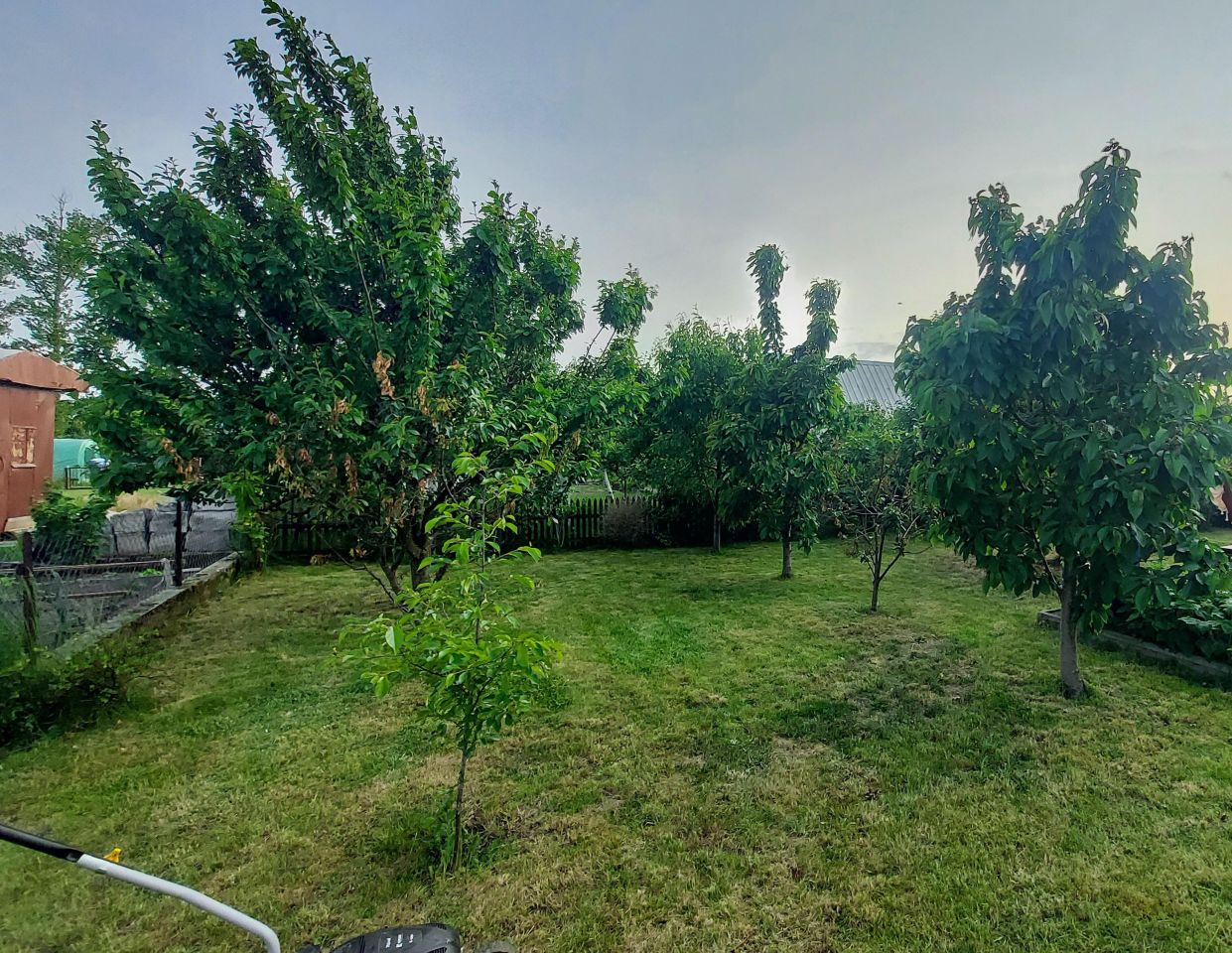 Działka rod Żuromin, ul. Parkowa. Zdjęcie 10