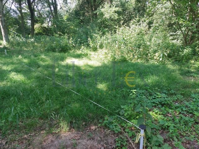 Działka budowlana Popielarze, Popielarze. Zdjęcie 7