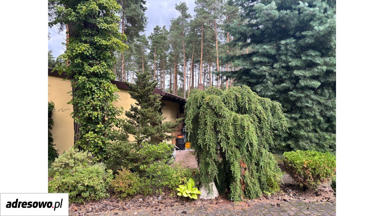 dom wolnostojący, 3 pokoje Kuźnica Lechowa, ul. Leśna. Zdjęcie 18