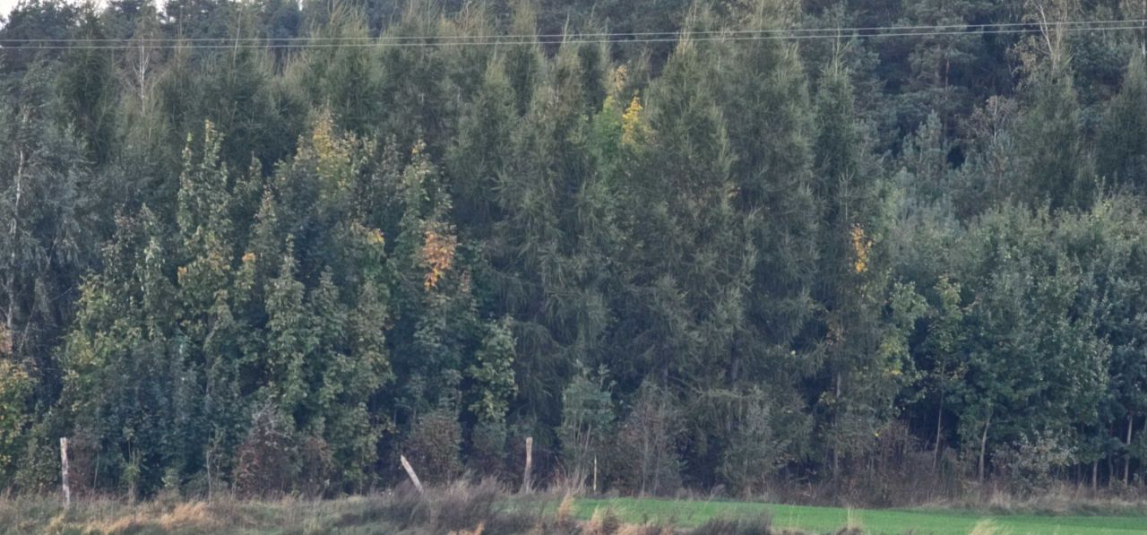Działka na sprzedaż bez pośredników
Zwiniarz