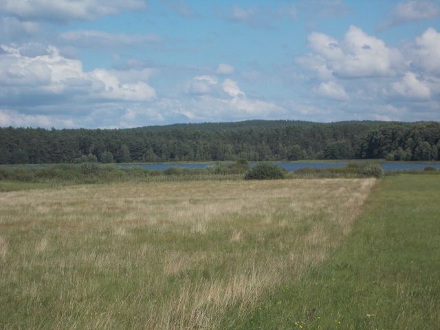 Działka siedliskowa Żukówko. Zdjęcie 1