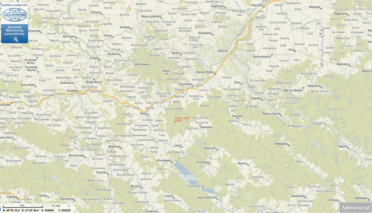 Działka leśna Łosie. Zdjęcie 4