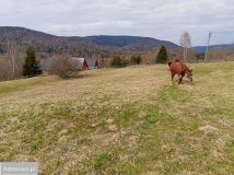 Działka budowlana Strzebowiska. Zdjęcie 2