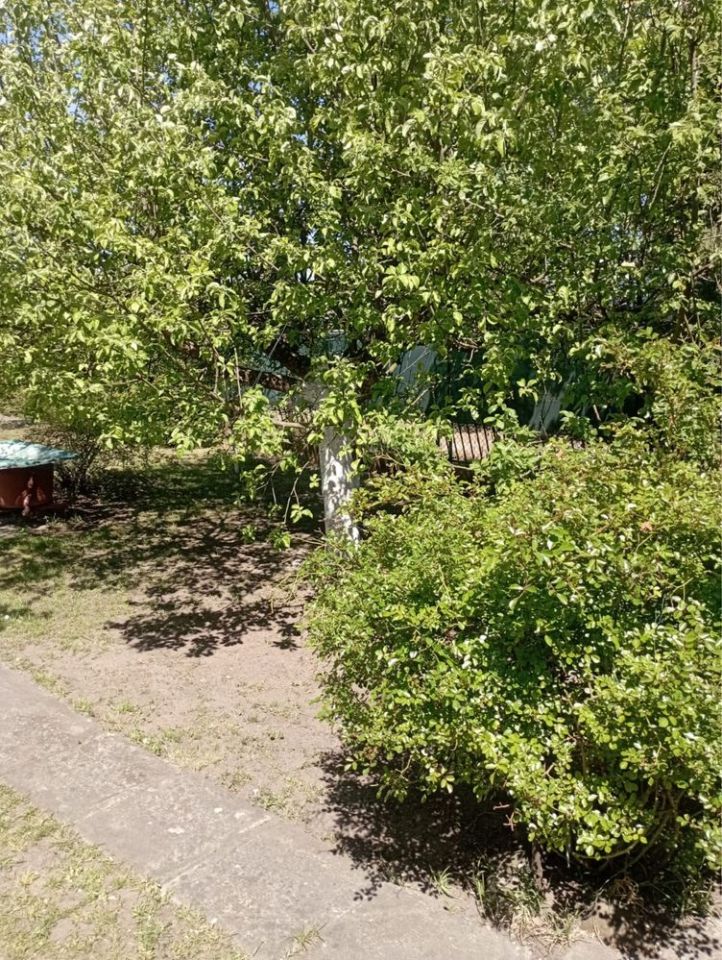 Działka rod Kędzierzyn-Koźle Żabiniec. Zdjęcie 8