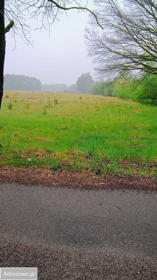 Działka rolna Pracze. Zdjęcie 3