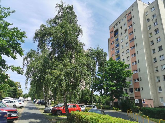 Mieszkanie 2-pokojowe Poznań Dębiec, os. Dębina. Zdjęcie 1