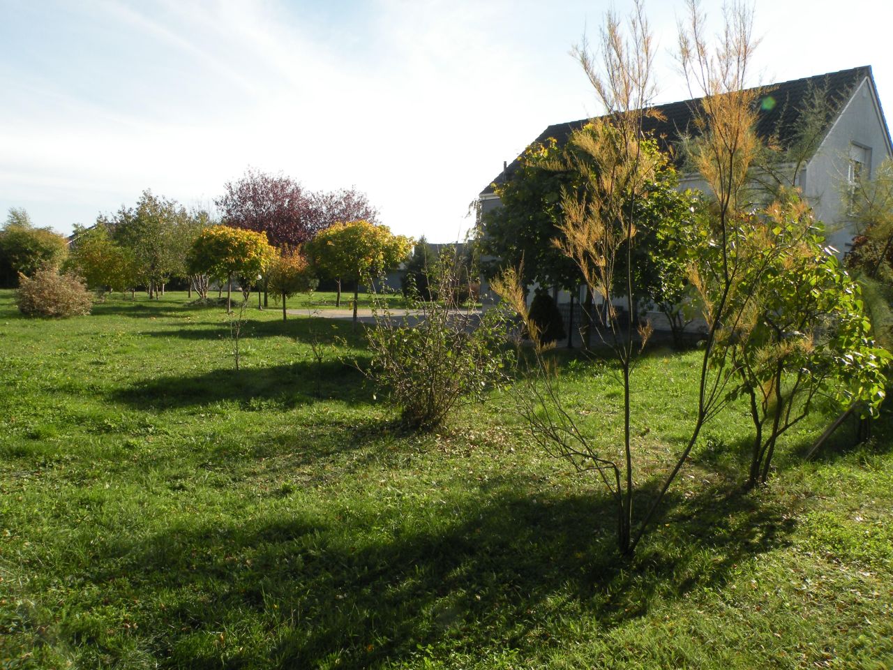 Działka budowlana Opole Półwieś, ul. Agnieszki Osieckiej. Zdjęcie 17