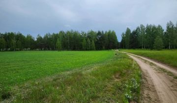 Działka siedliskowa Lipowy Most