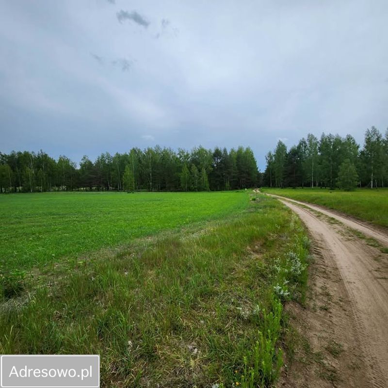 Działka siedliskowa Lipowy Most. Zdjęcie 2
