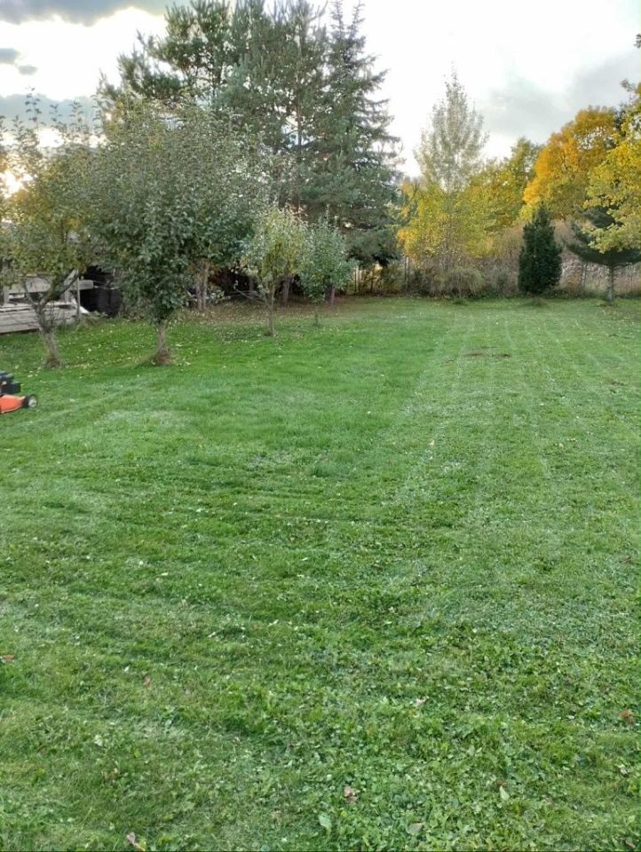Działka budowlana Starachowice, ul. Żytnia. Zdjęcie 5