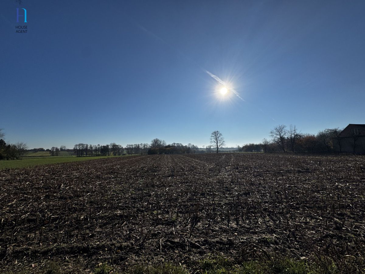 Działka siedliskowa Kolonia Łaznów. Zdjęcie 7