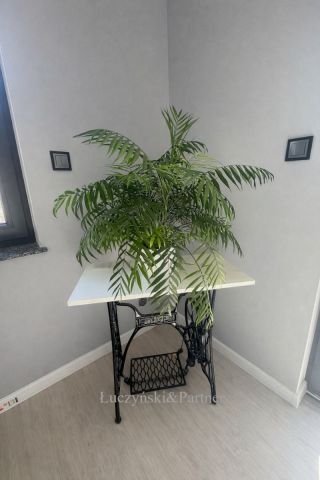 dom wolnostojący, 5 pokoi Lubawka. Zdjęcie 12