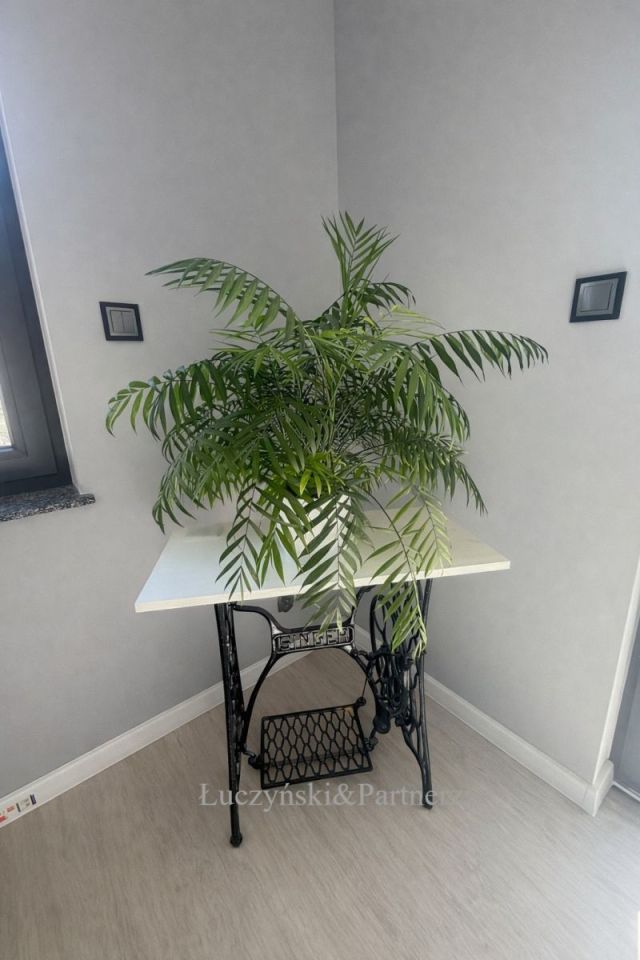 dom wolnostojący, 5 pokoi Lubawka. Zdjęcie 12