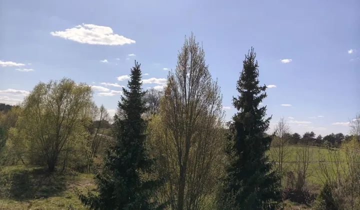 Działka budowlana Kicin, ul. Wichrowa