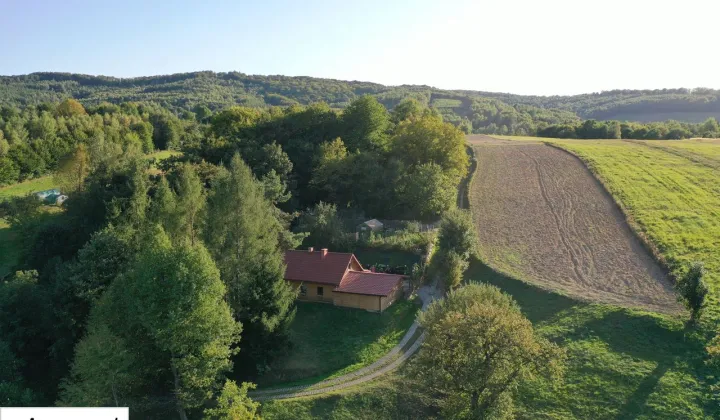 dom wolnostojący, 4 pokoje Krzywe