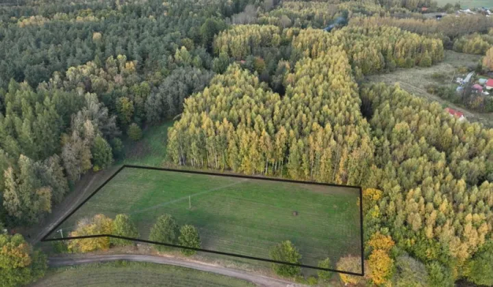 Działka budowlana Pomlewo, ul. Brzozowa