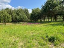 Działka budowlana Graniczna Wieś Pruska Karczma, ul. Jarzębinowa. Zdjęcie 4