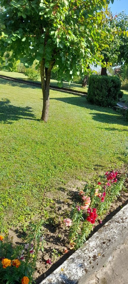 Działka rod Gniezno, ul. Powstańców Wlkp.. Zdjęcie 5