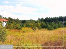 Działka budowlana Krobia, ul. Dolina Drwęcy