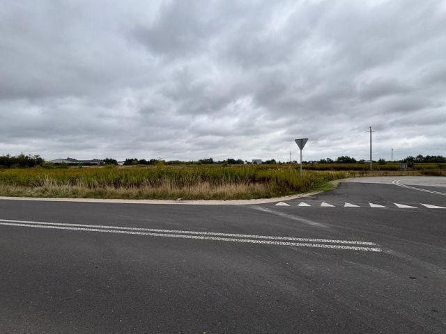 Działka inwestycyjna Sękocin Stary. Zdjęcie 10