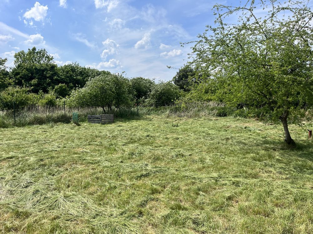 Działka rod Śmigiel. Zdjęcie 5