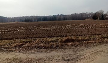 Działka rolno-budowlana Joachimów-Mogiły, Brak