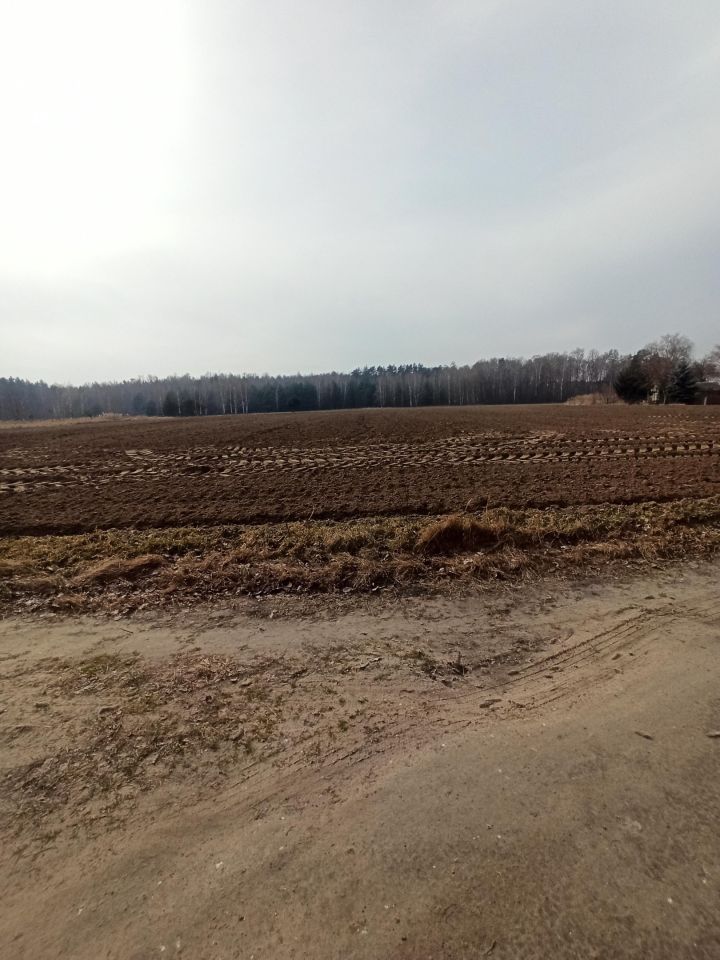 Działka rolno-budowlana Joachimów-Mogiły, Brak