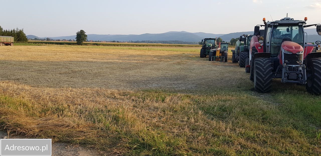 Działka siedliskowa Pieszyce Bratoszów. Zdjęcie 13