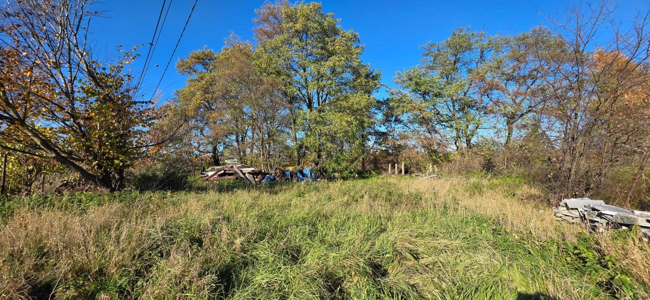 Działka rolno-budowlana Wyry, ul. Główna. Zdjęcie 5