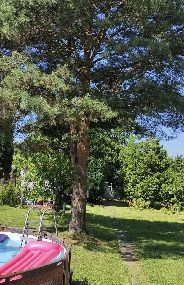 Działka rod Bytom. Zdjęcie 3