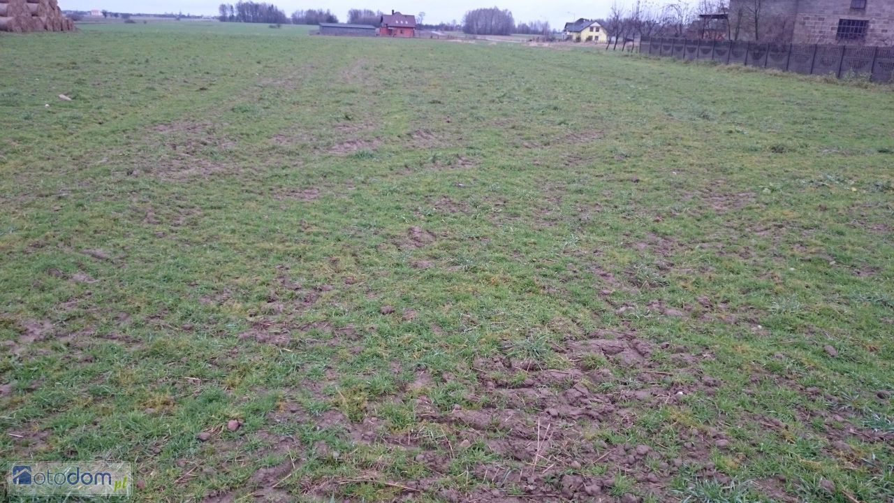 Działka budowlana Prymusowa Wola. Zdjęcie 4