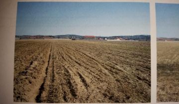 Działka rolno-budowlana Sękowice