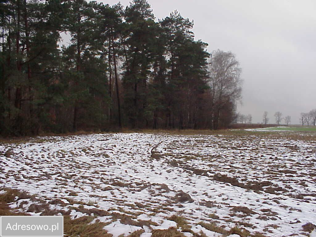Działka rolna Bielawa. Zdjęcie 9