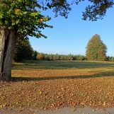 Działka budowlana Wierzbka Górna. Zdjęcie 2