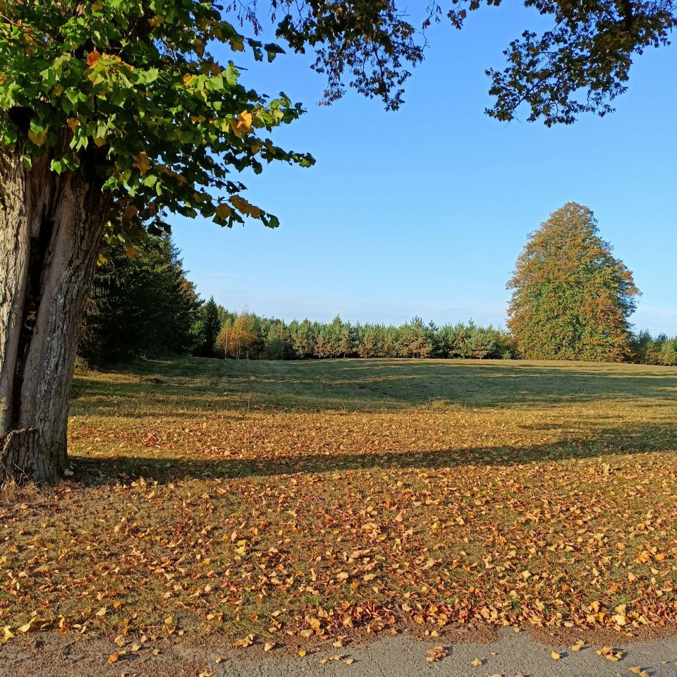 Działka budowlana Wierzbka Górna. Zdjęcie 3