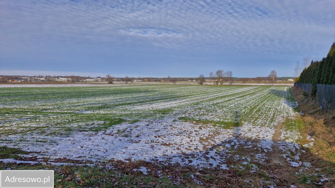 Działka rolno-budowlana Dobrzyniewo Duże. Zdjęcie 6