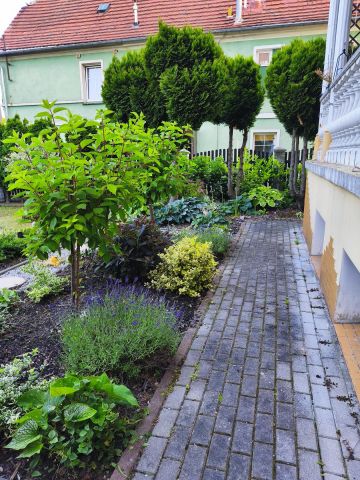 Mieszkanie 6-pokojowe Bielawa, ul. Wolności. Zdjęcie 12