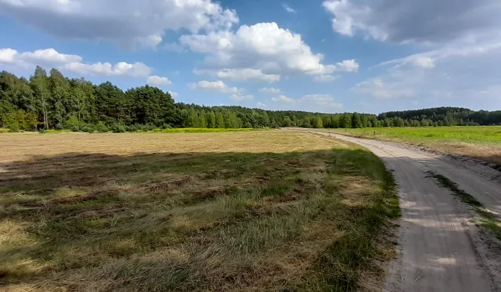 Działka budowlana Ostrówek, ul. Leśna