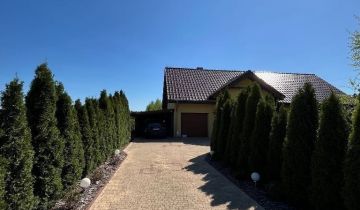 dom wolnostojący, 5 pokoi Szprotawa