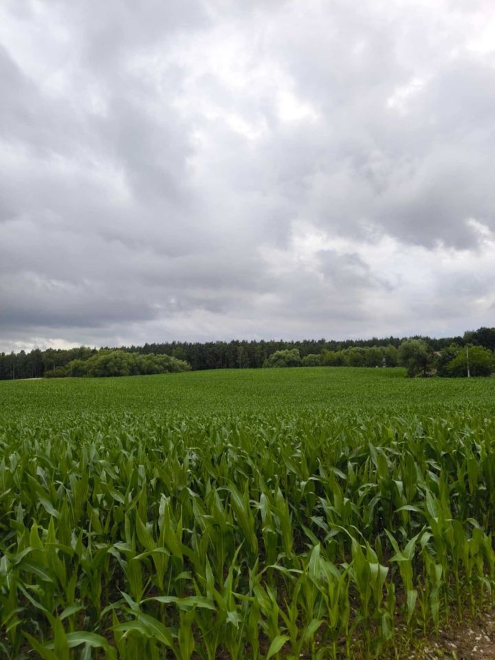 Działka budowlana Łabędź