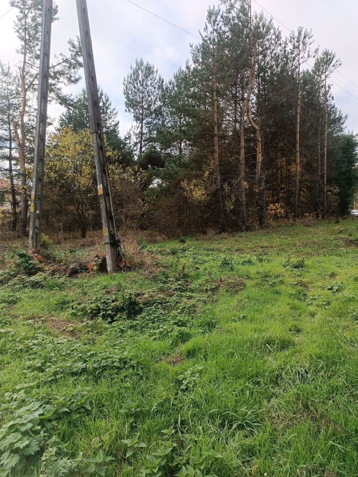 Działka budowlana Tarłów, os. Leśne